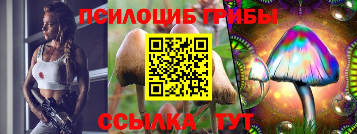 где купить наркотик  Вход с VPN  Печора  Псилоцибиновые грибы Psilocybine cubensis 
